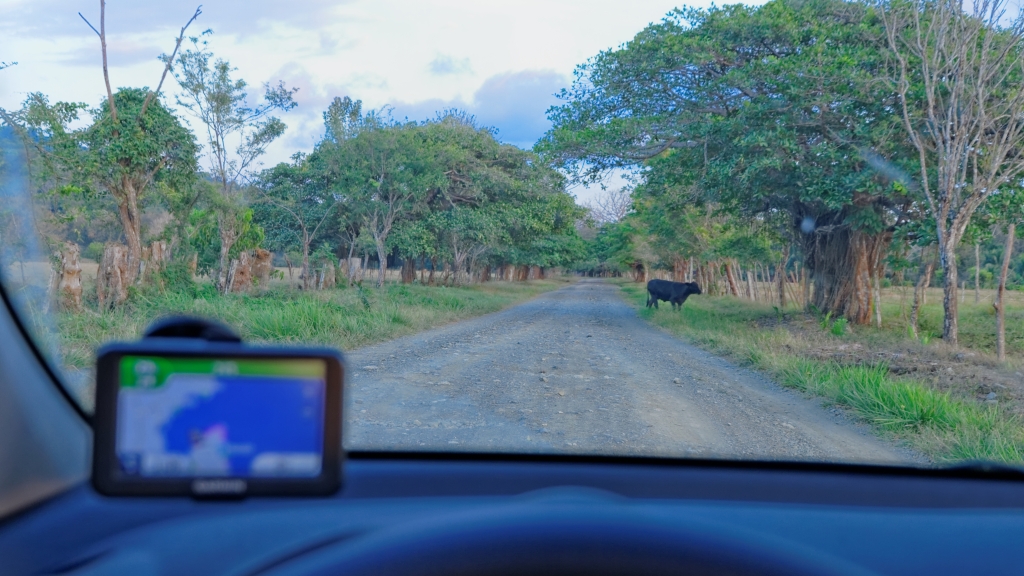 11 - Corcovado NP (32).jpg